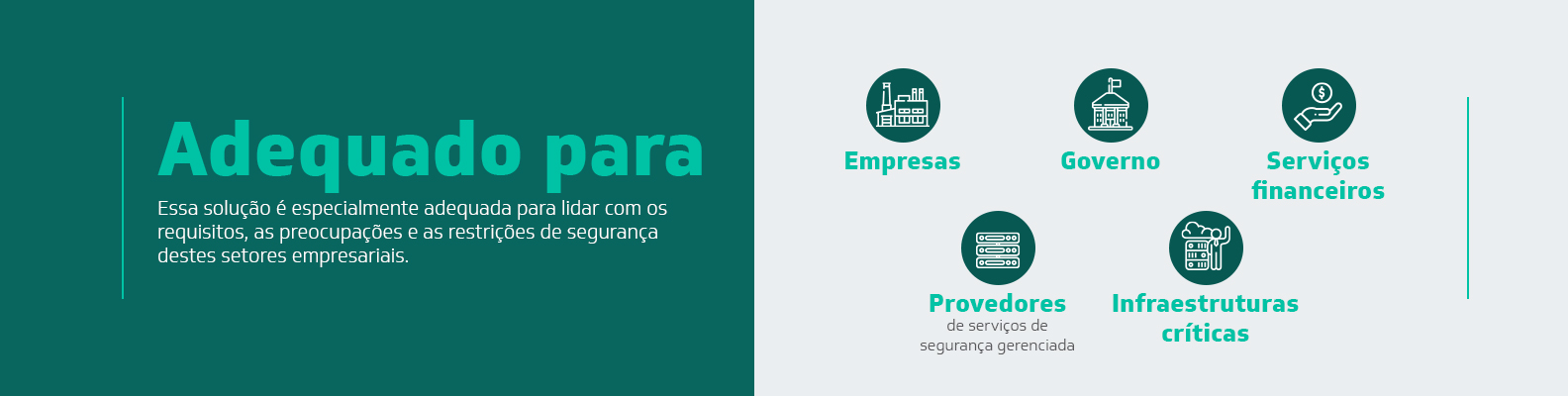 Primeiro Slide